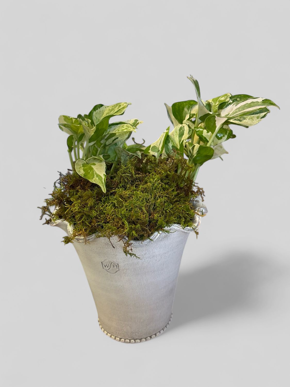 Wakefield homemade Festonee pot with plant