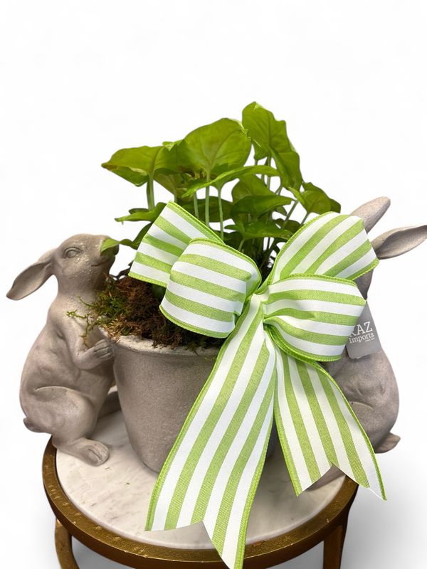 Bunny pot with plant