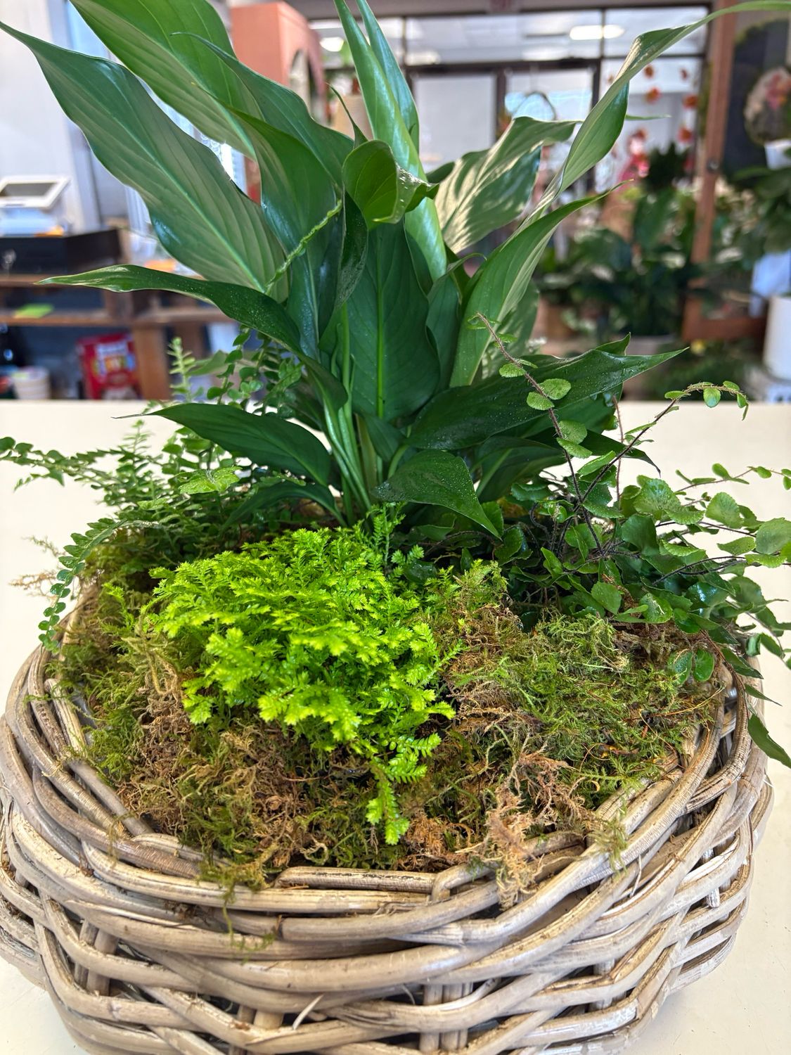 Woven basket with plants