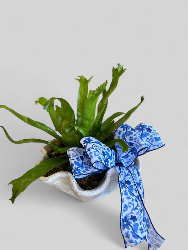 small white wakefield planter with plant