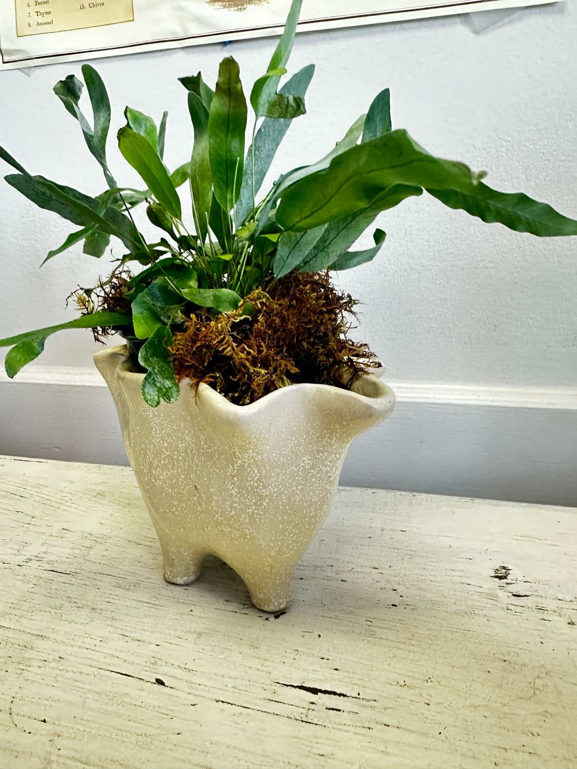 Small footed planter With Florals Or Plant