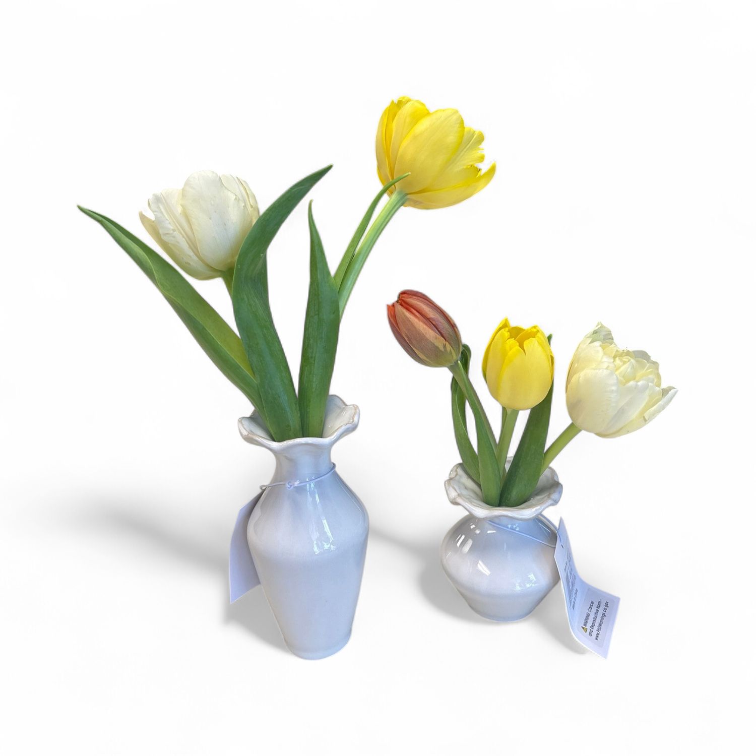 Esperanza bud vases with tulips