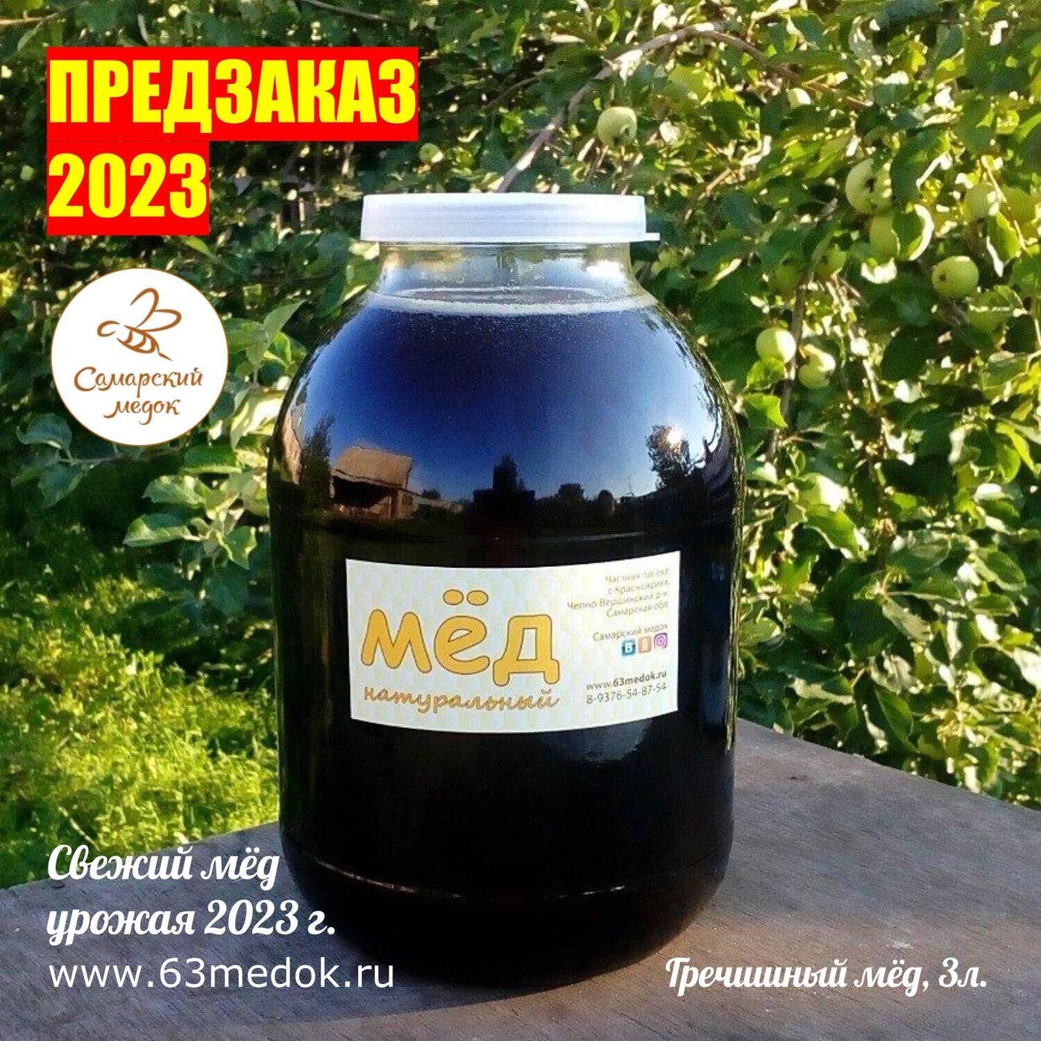 ПРЕДЗАКАЗ 2023 - Гречишный свежий мёд 3 л.