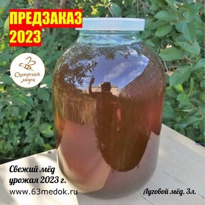 ПРЕДЗАКАЗ 2023 - Луговой свежий мёд 3 л.