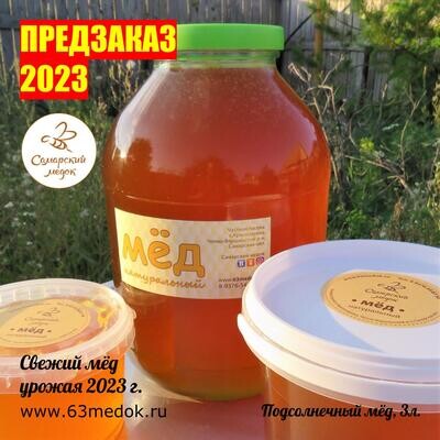 ПРЕДЗАКАЗ 2023 - Подсолнечный свежий мёд 3 л.