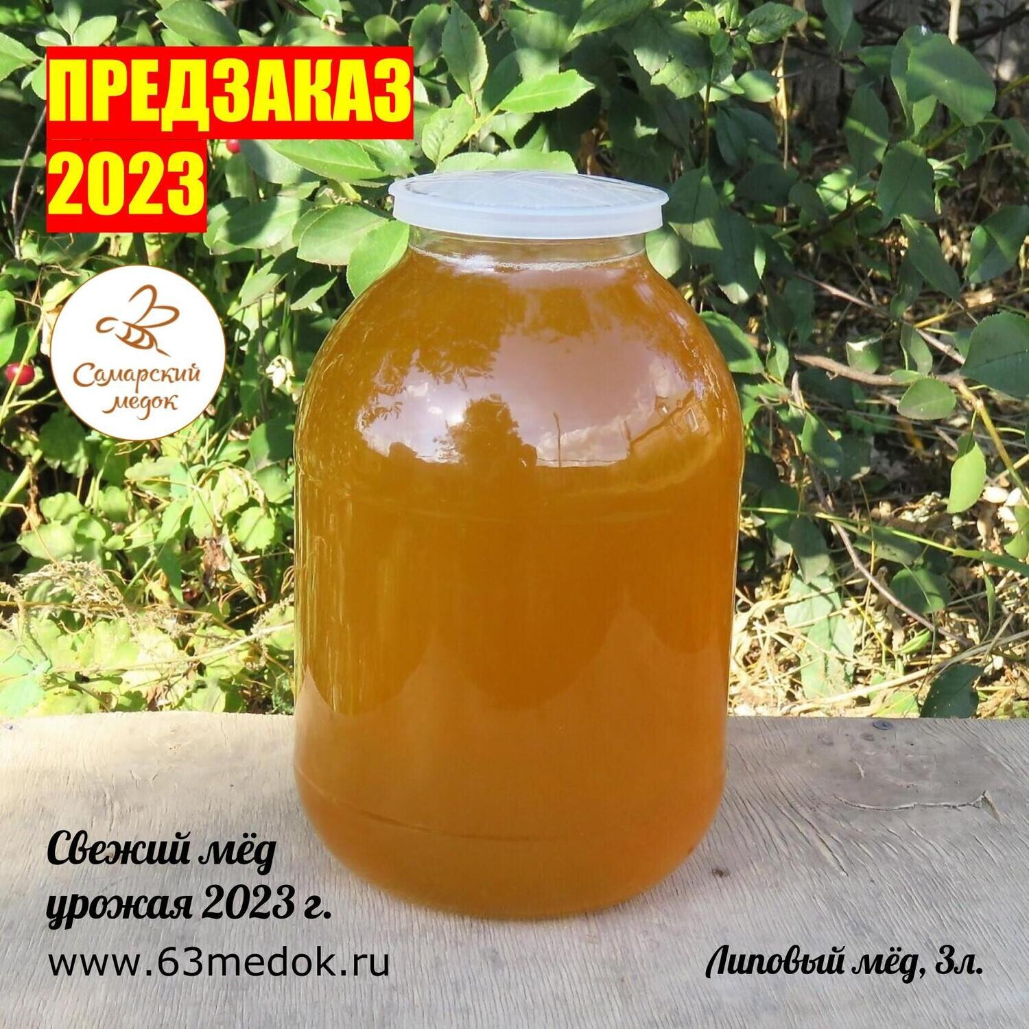 ПРЕДЗАКАЗ 2023 - Липовый свежий мёд 3 л.