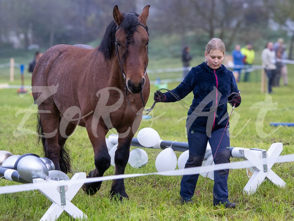 Plauschturnier 2024 - Bodenarbeit - Einsteiger
