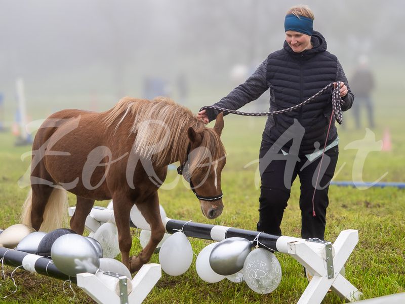 Plauschturnier 2024 - Bodenarbeit - Fortgeschritten