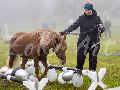 Plauschturnier 2024 - Bodenarbeit - Fortgeschritten