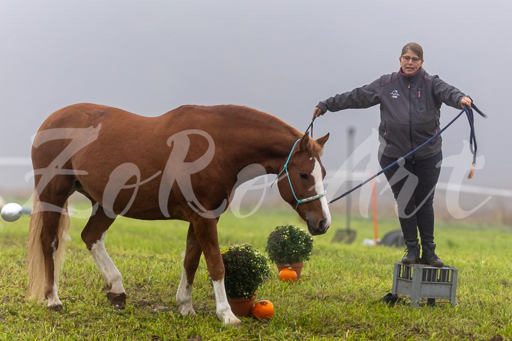 Plauschturnier 2024 - Bodenarbeit - Fortgeschritten