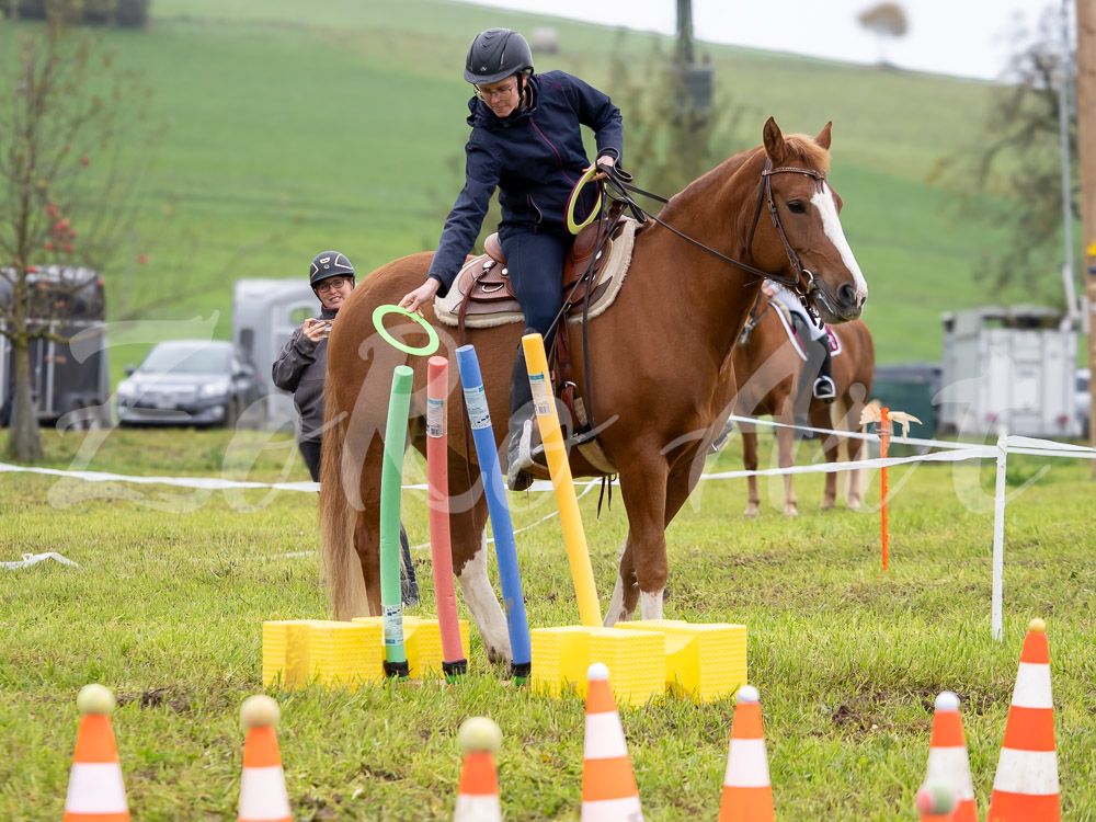 Plauschturnier 2024 - Gymkhana - Fortgeschrittene