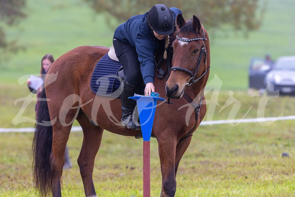 Plauschturnier 2024 - Gymkhana - Einsteiger