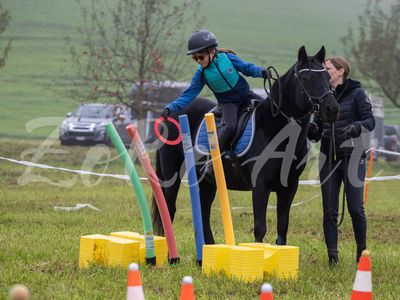 Plauschturnier 2024 - Gymkhana - Führzügel