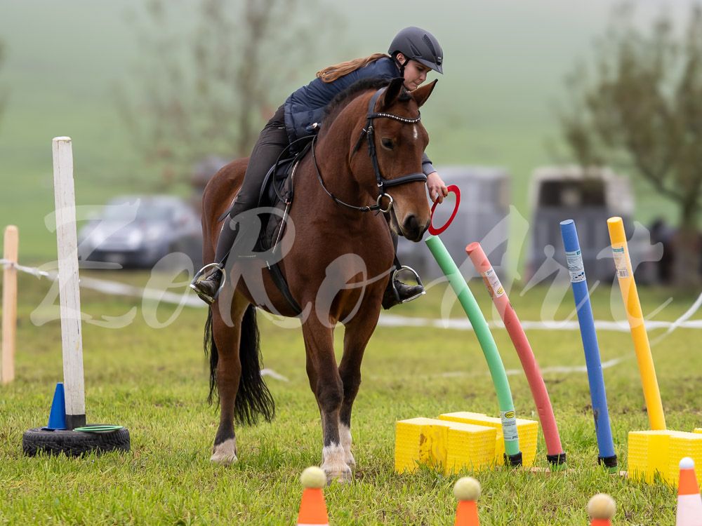 Plauschturnier 2024 - Gymkhana - Einsteiger