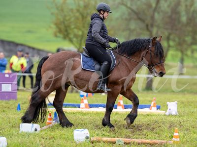 Plauschturnier 2024 - Gymkhana - Fortgeschrittene