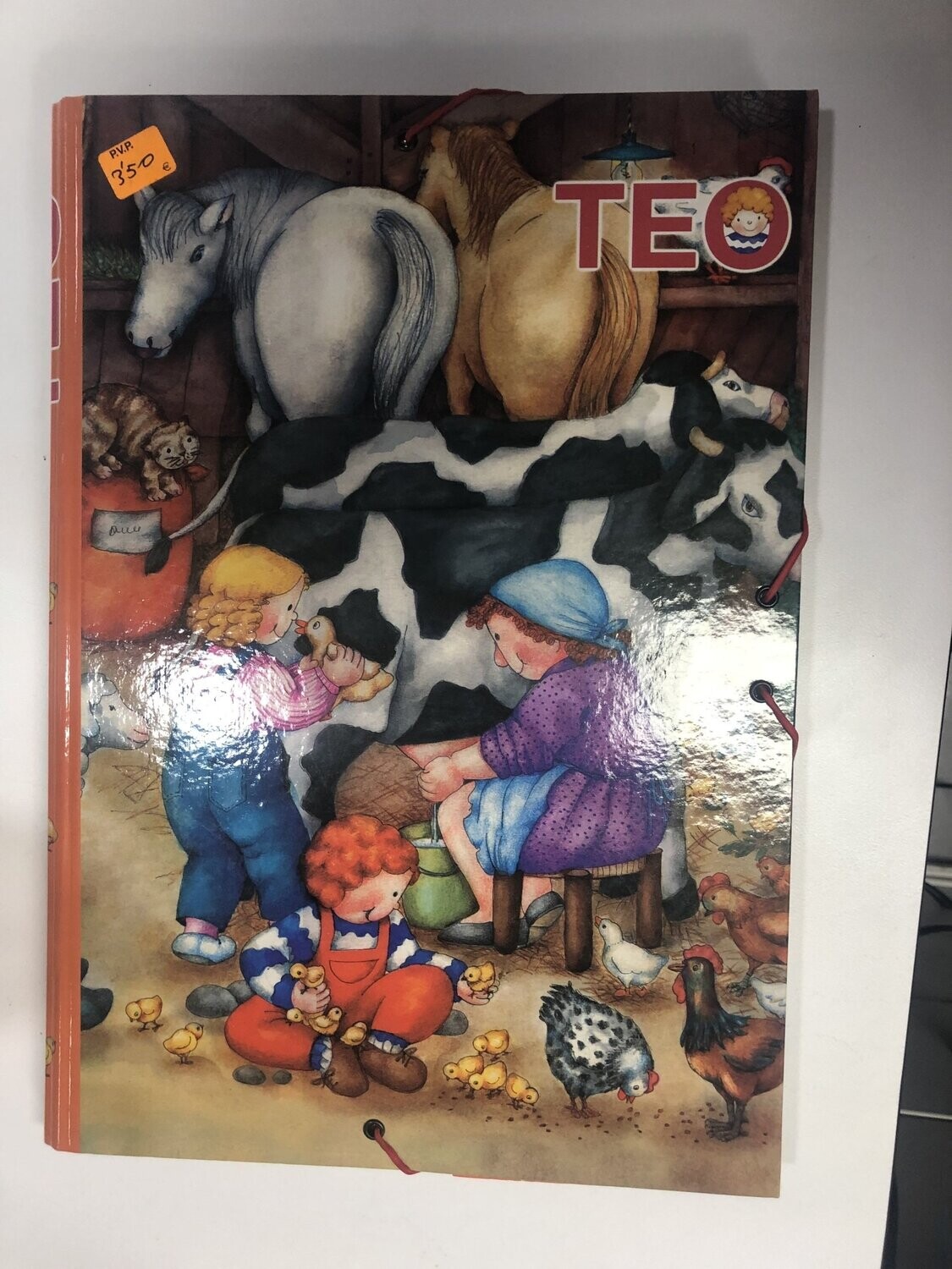 Carpeta Teo