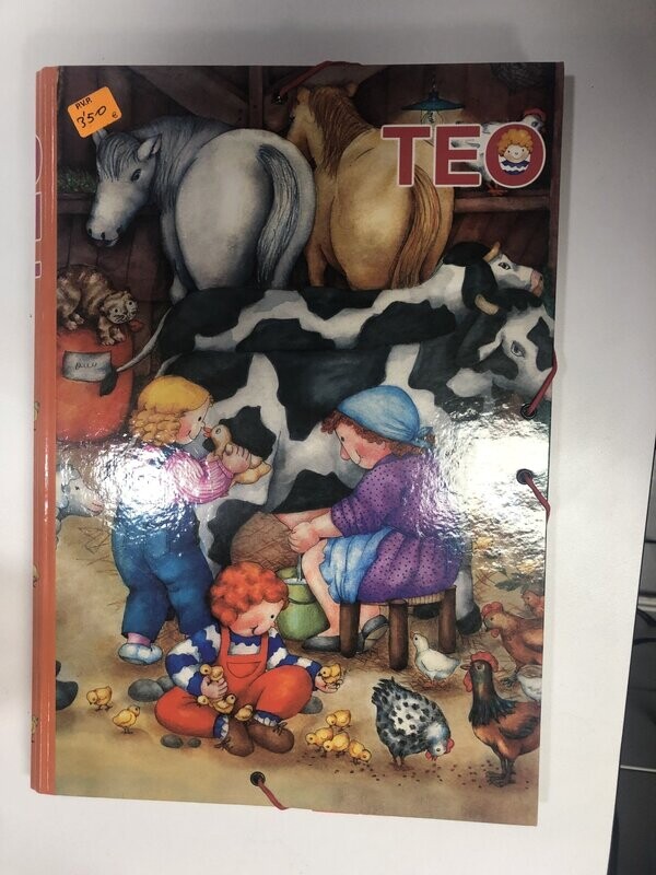 Carpeta Teo