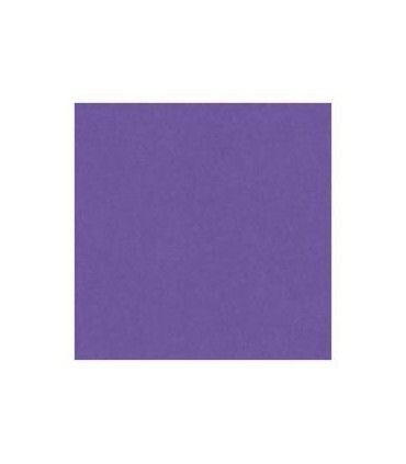Cartulina 50x65 morada