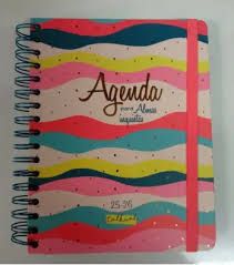 Agenda FINOCAN TALKUAL semana vista 8º