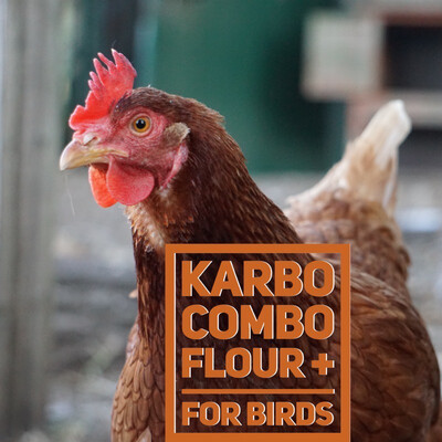 Karbo Combo Flour For Birds - 5 pounds