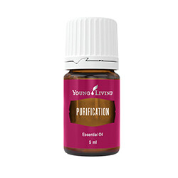 Purification
