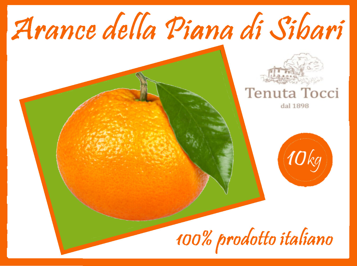 Arance Navel Biologiche da spremuta 10kg