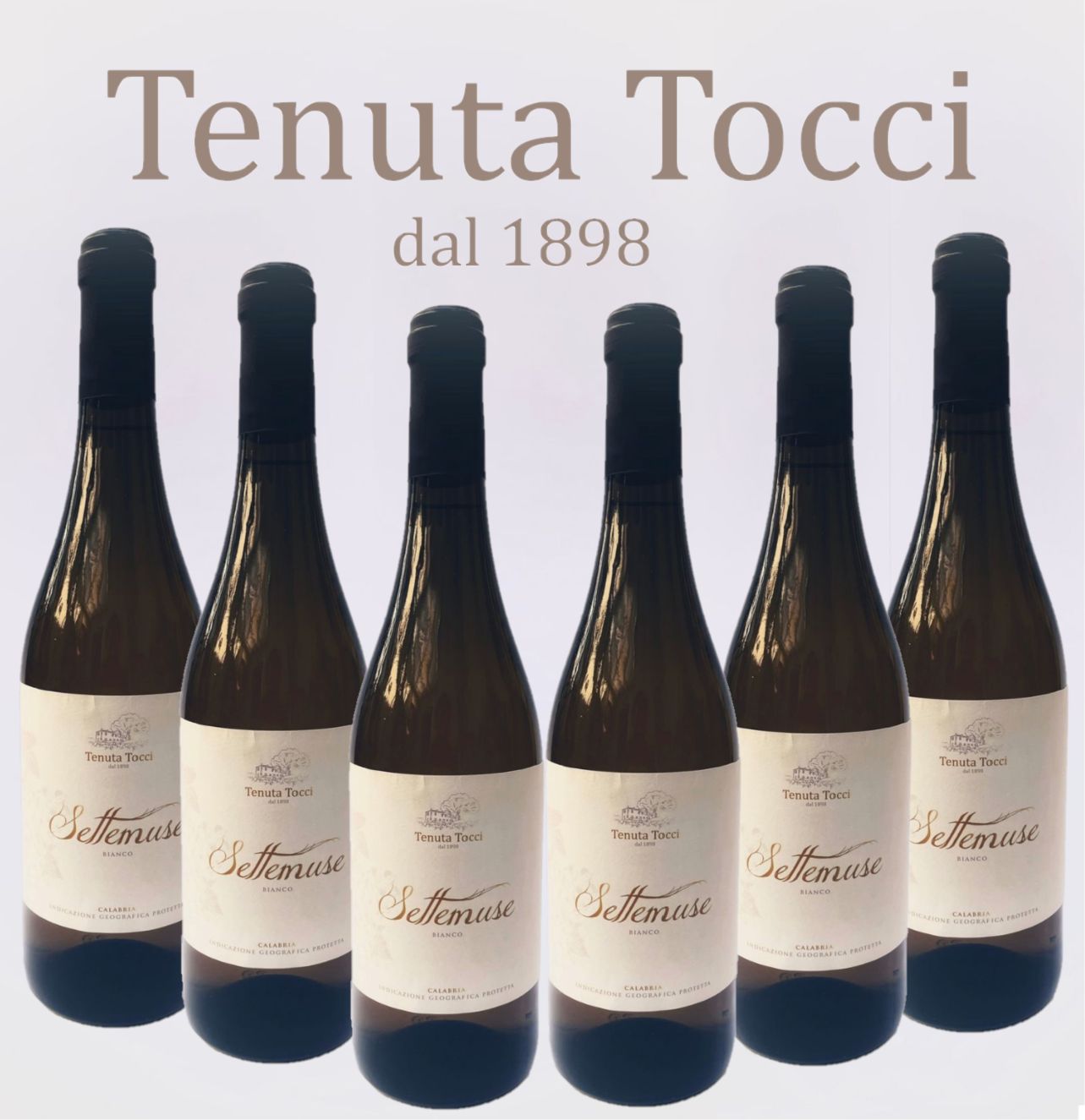 Settemuse  Bianco 100% Pecorello IGP Calabria- Confezione da 6 Bottiglie 0,75L -