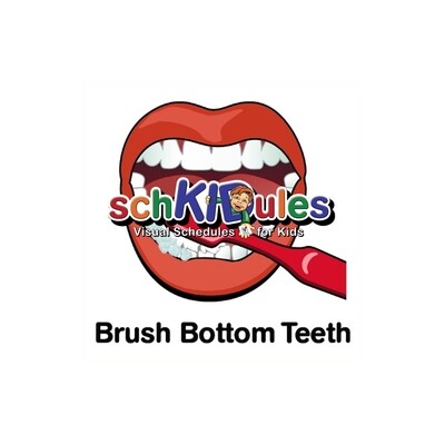 Brush Bottom Teeth