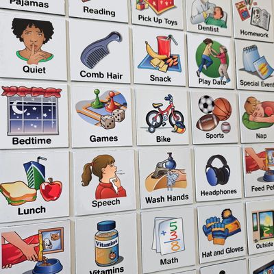 Magnet Sets