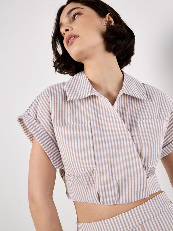 Seersucker Stripe Crop Top