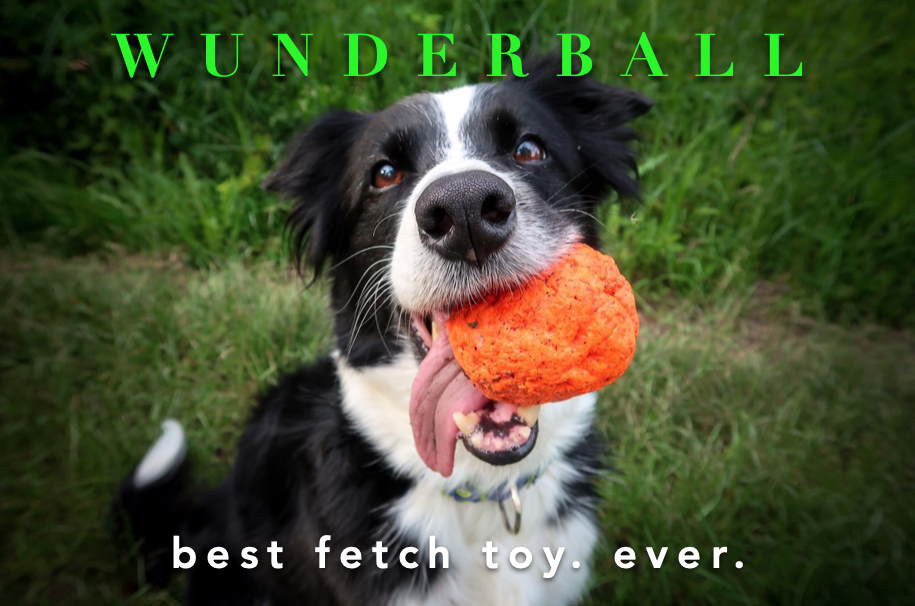thumbnail image 2 of Wacky Walk'r Wunderball – Indestructible Fetch Toy For Dogs, Floats & Cleans Teeth (All Sizes) 2 of 4