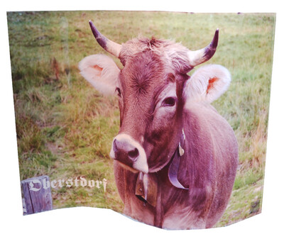 3D Acrylbild Kuh/Oberstdorf