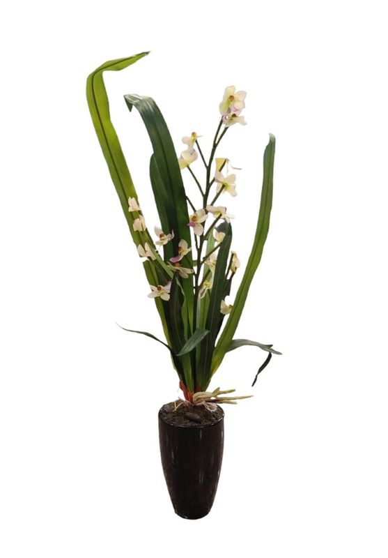 FLORCITA BLANCA VASO NEGRO
