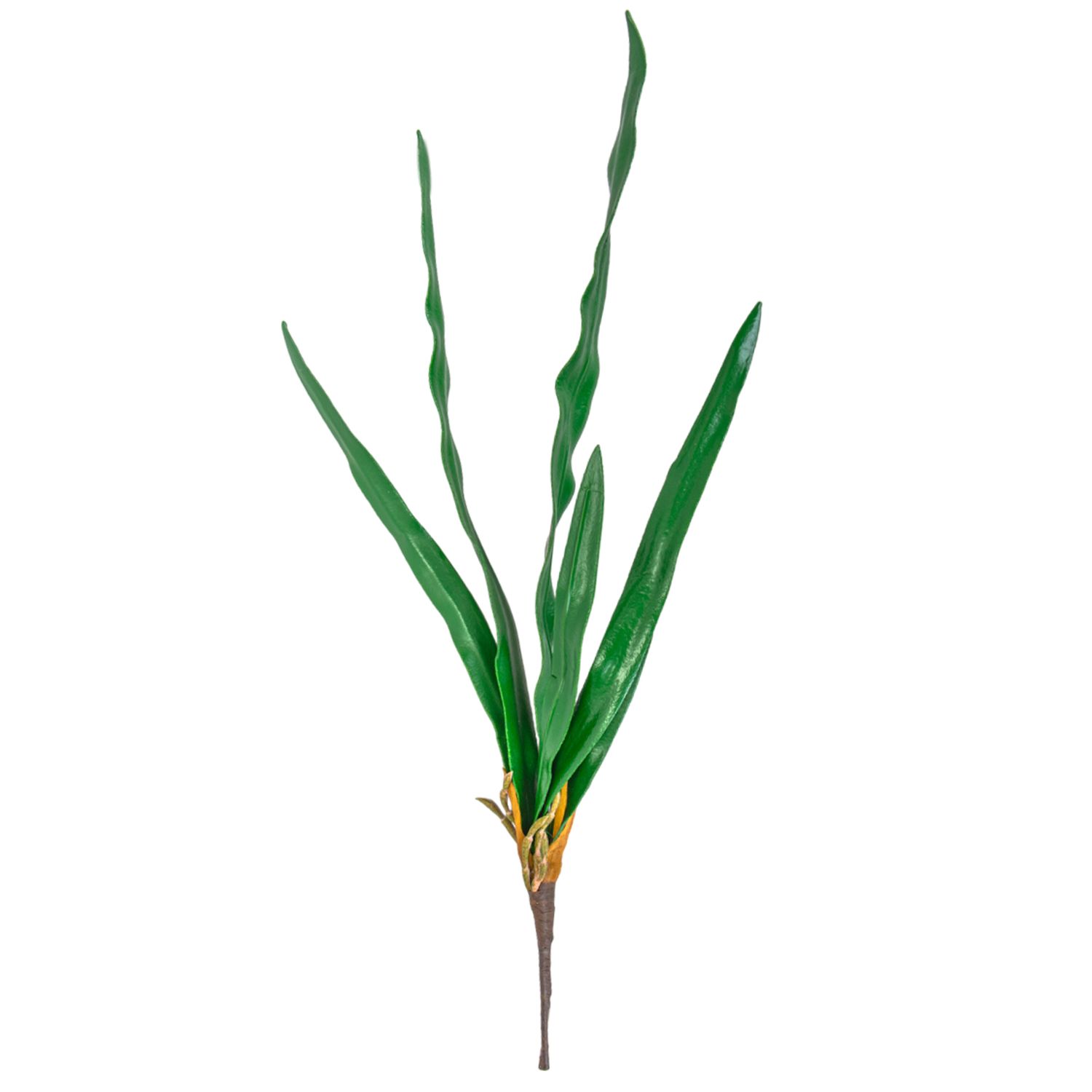 HOJA VERDE LARGA 62CM / CYMBIDIUM LEAF BUNDL
