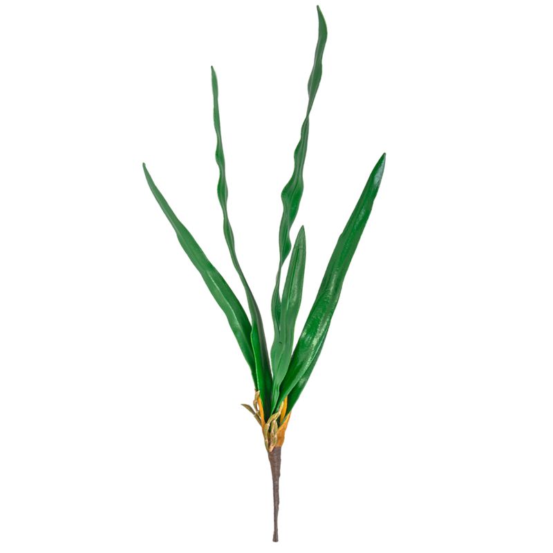 HOJA VERDE LARGA 62CM / CYMBIDIUM LEAF BUNDL