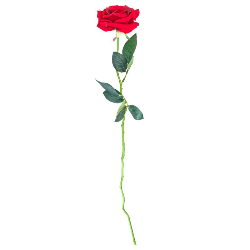 25 SINGLE ROSE 124496SP