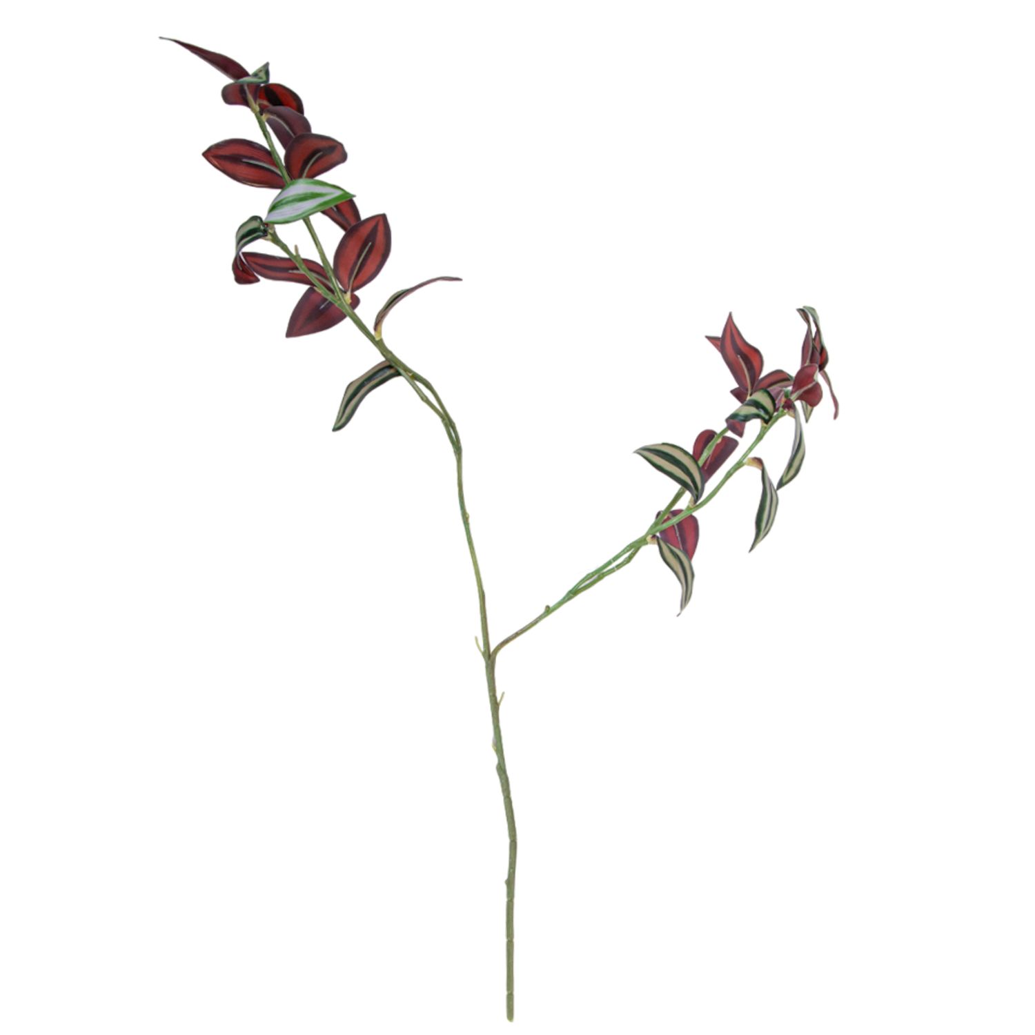 SPIDEP PLANT 