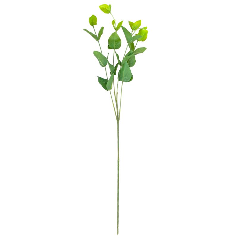 EUCALYPTUS WB111-32J/GN