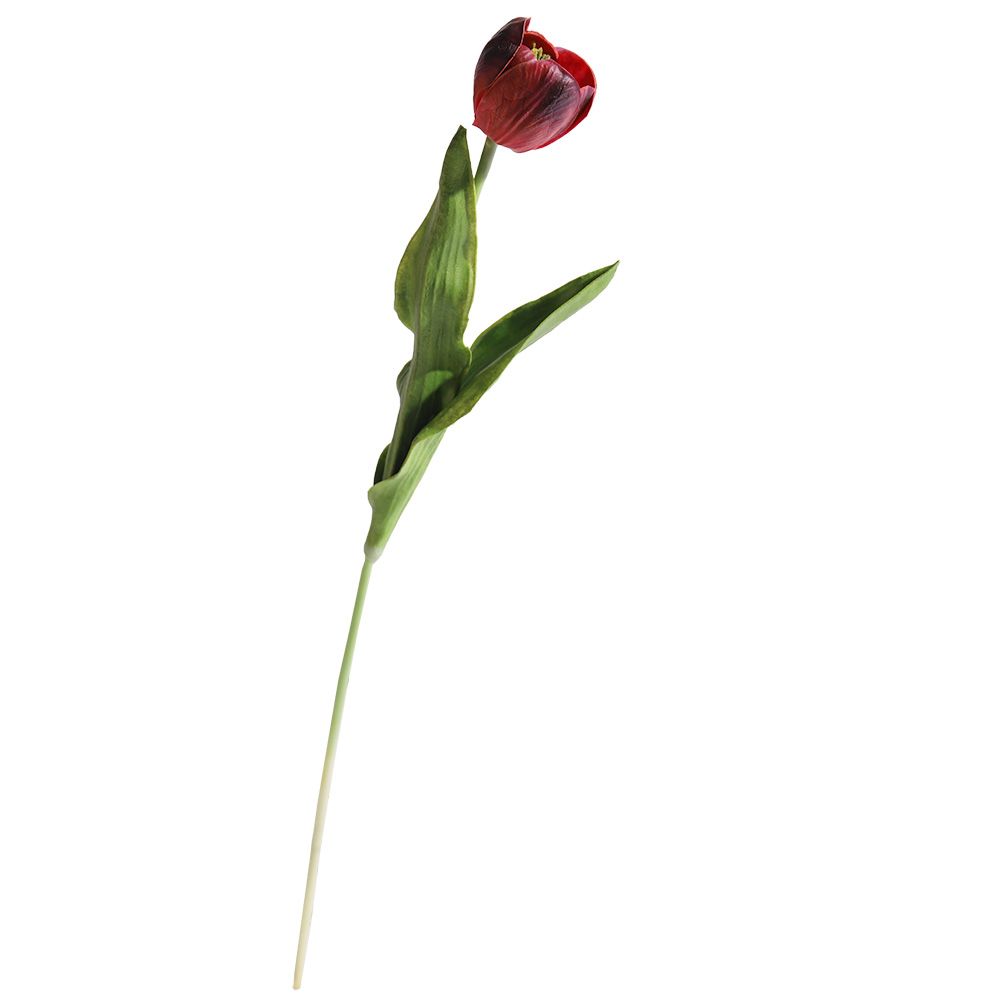 FLOR TULIPA 