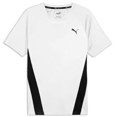 REMERA  PUMA  L TRAIN ALL DAY TEE