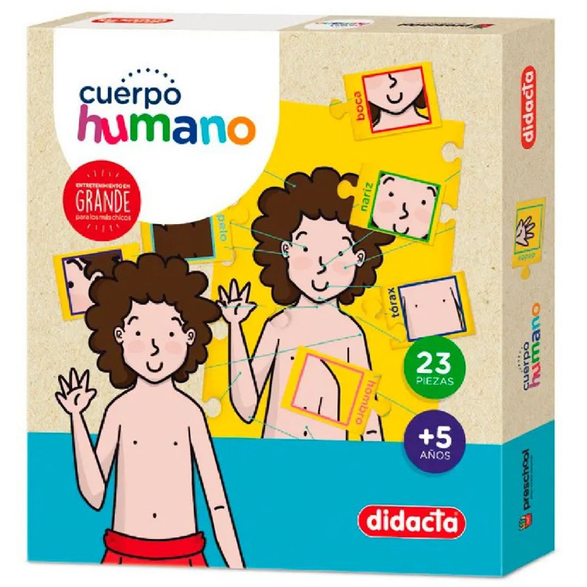 CUERPO HUMANO 23 PIEZAS DIDACTA