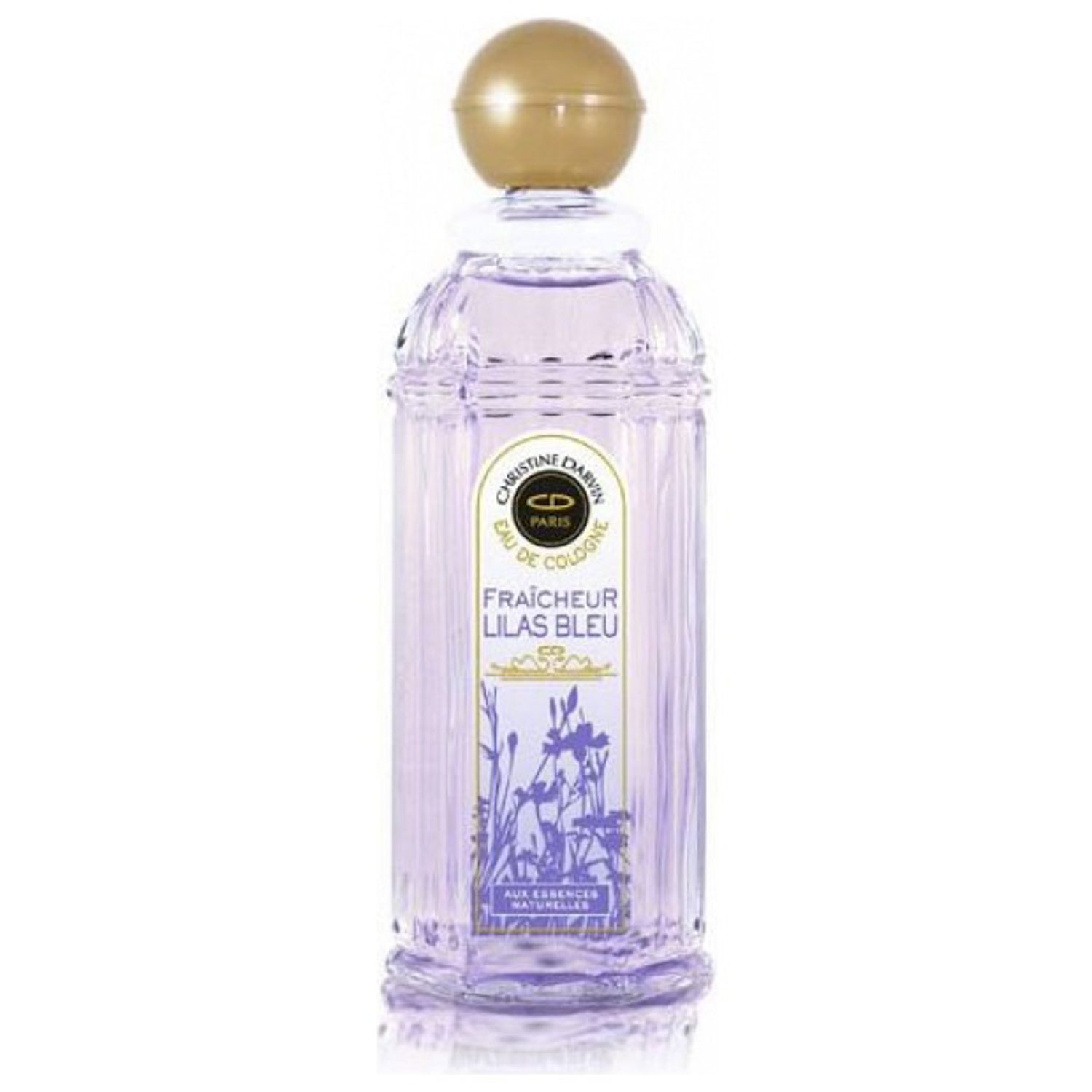 COLONIA FEMENINO CHRISTINE DARVIN LILAS BLEU 250ML