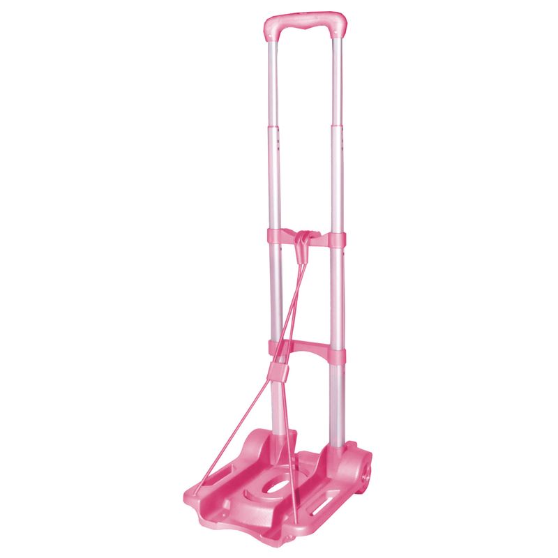 CARRITO DE ALUMINIO PORTATIL TITAN JD-573 60KG