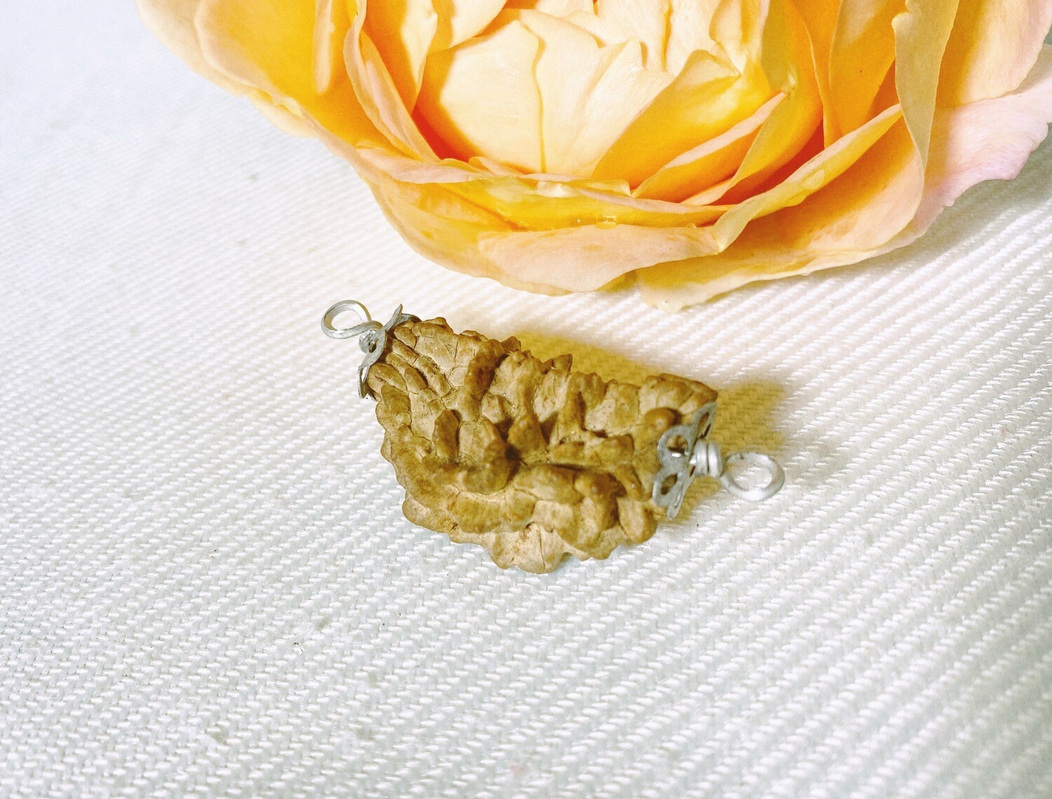 1-Auge Rudraksha