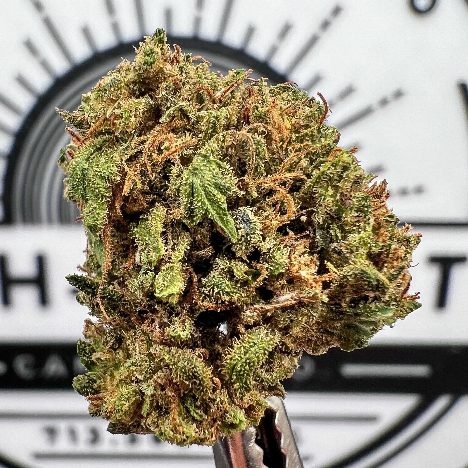 Royal OG All natural CBD Flower Houston, Texas HighFidelity Company