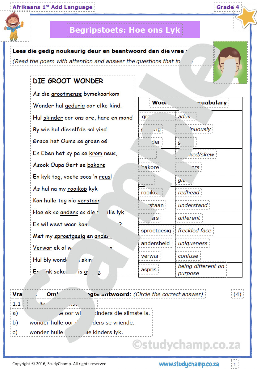 Grade 4 Afrikaans Begrip: Hoe ons lyk