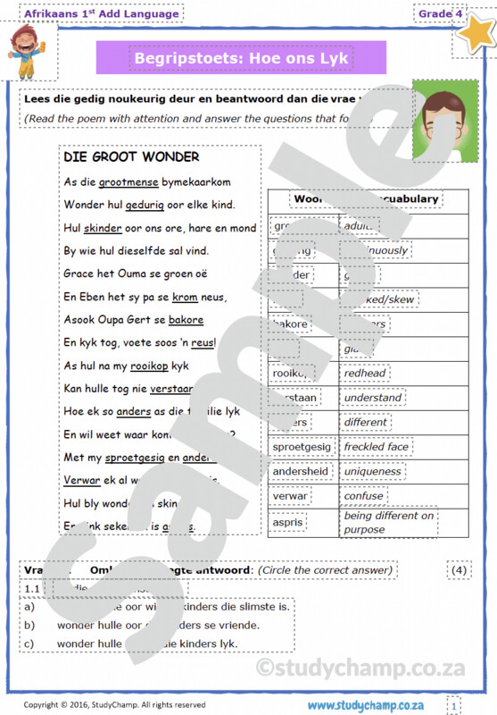 Grade 4 Afrikaans Begrip: Hoe ons lyk