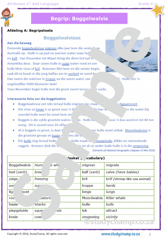 Grade 4 Afrikaans First Additional Language Bundle