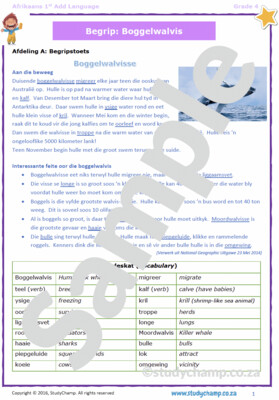 Grade 4 Afrikaans First Additional Language Bundle