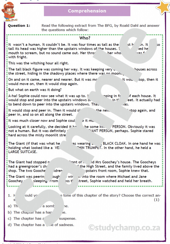 Grade 4 English Year-end Exam workbook: Comprehension and Visual Literacy